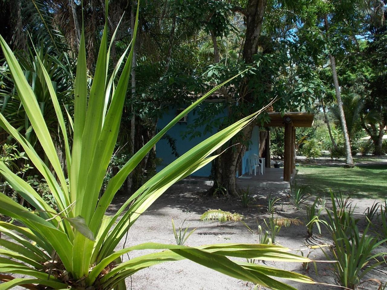 Onça 1024 Vila Trancoso Exterior foto